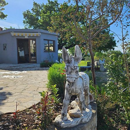 Villa Doci Zadar Exterior foto